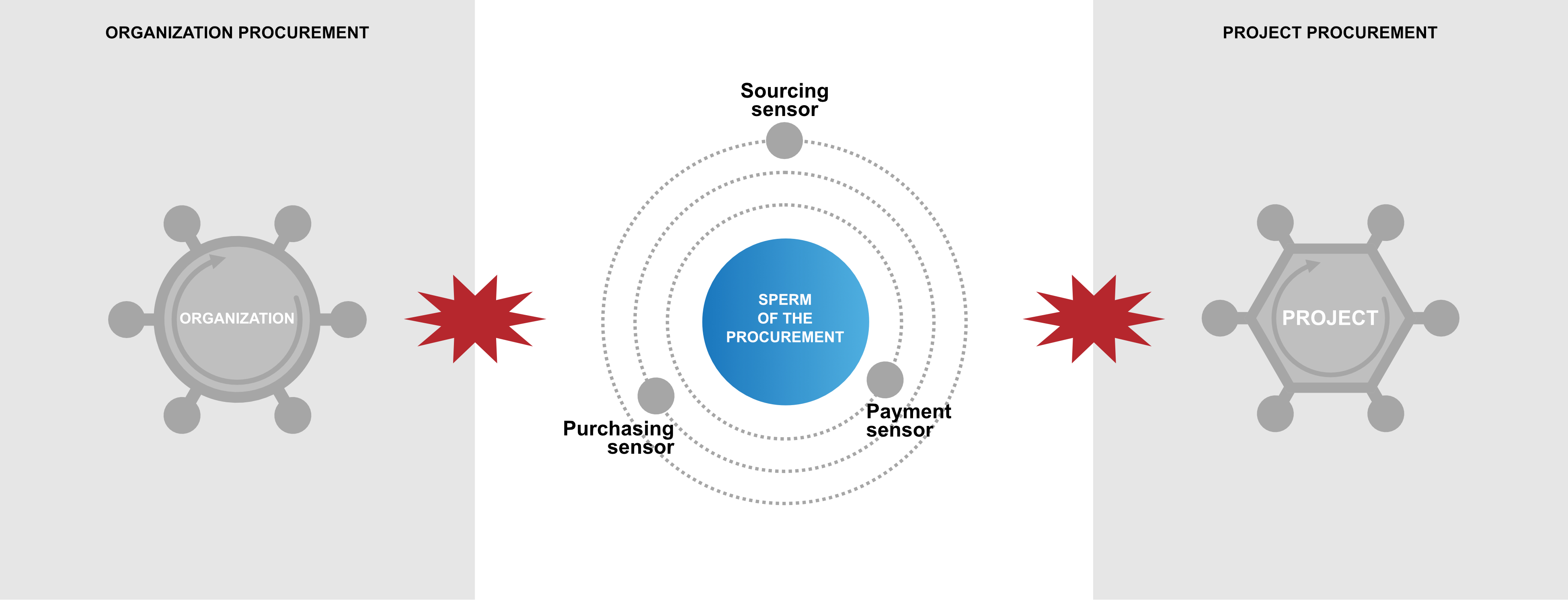 Figure C10a.4 Procurement model – sperm of the business