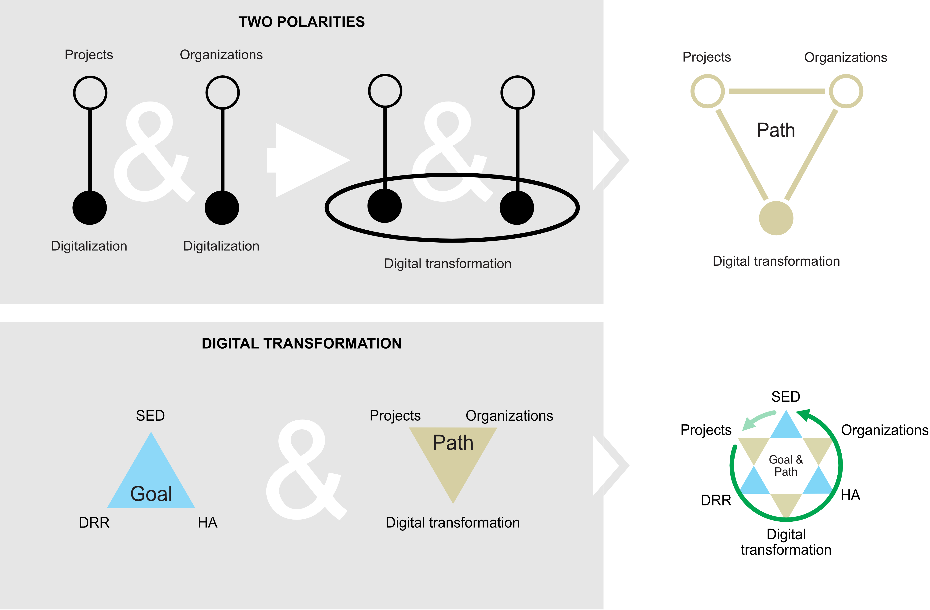 Figure C4e.1 Organizations and projects in digital transformation