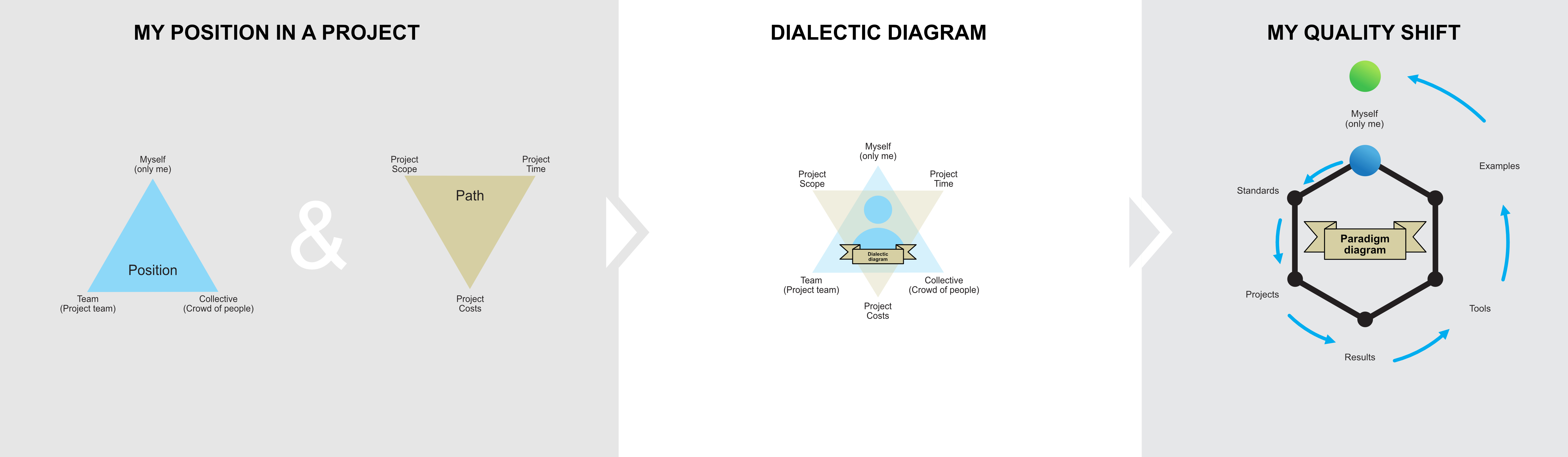 Figure C6d2. The Assumptions of the Human for projects