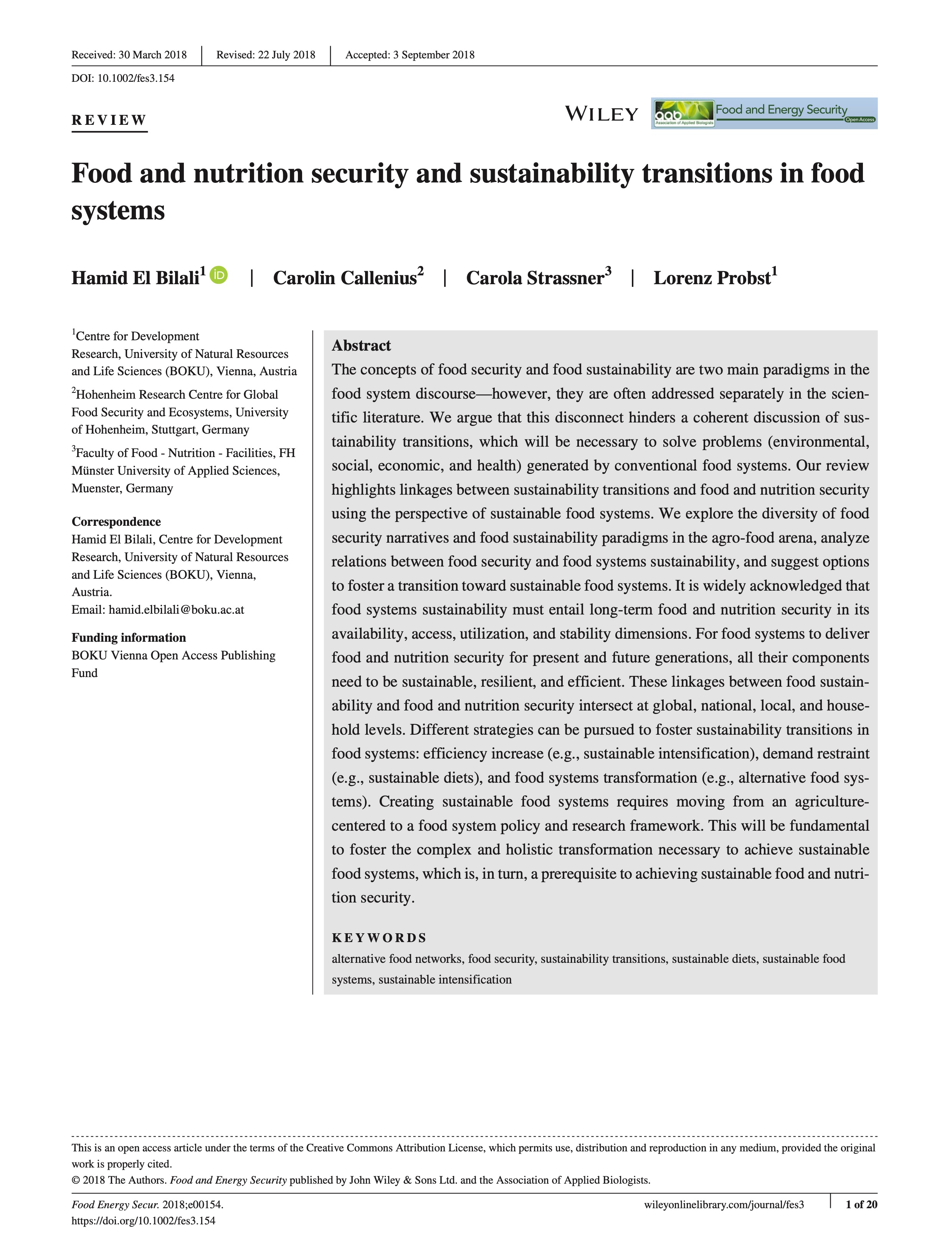 Food and nutrition security and sustainability transitions in food systems