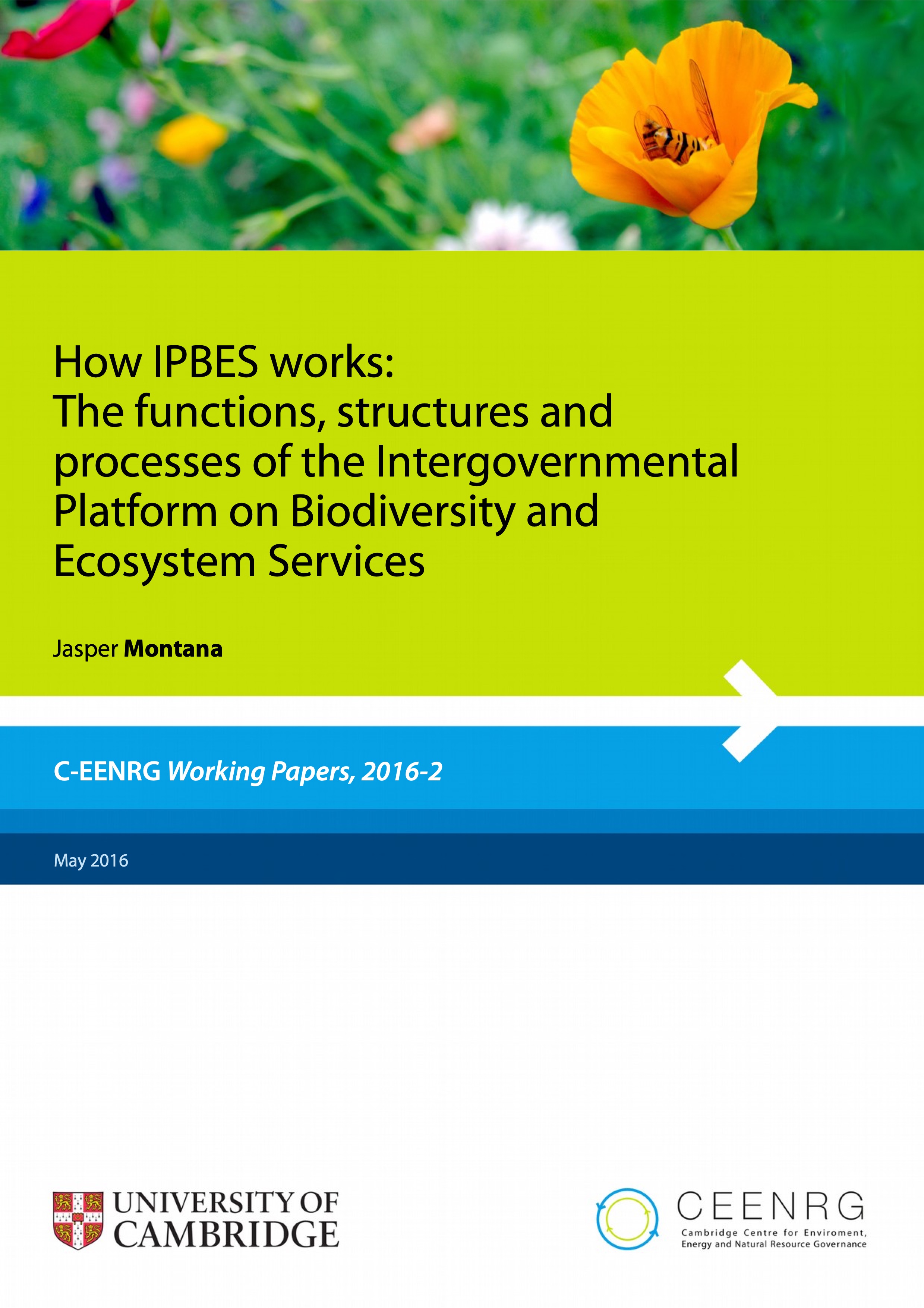IHow IPBES works: The functions, structures and processes of the Intergovernmental Platform on Biodiversity and Ecosystem Services